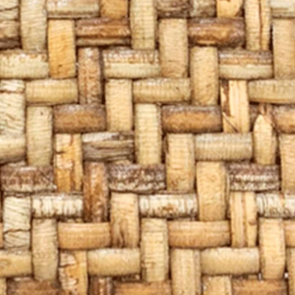 Bambu